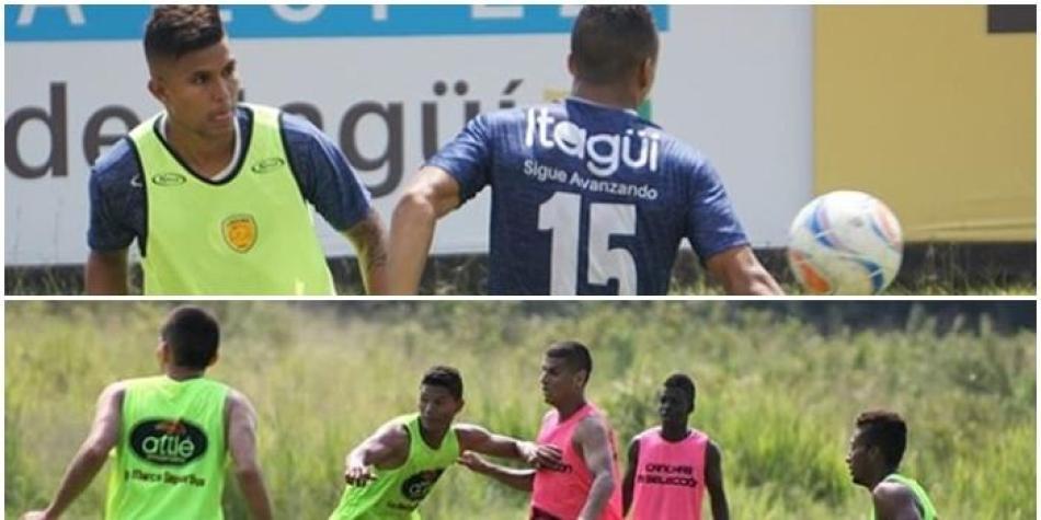 Leones y Huila