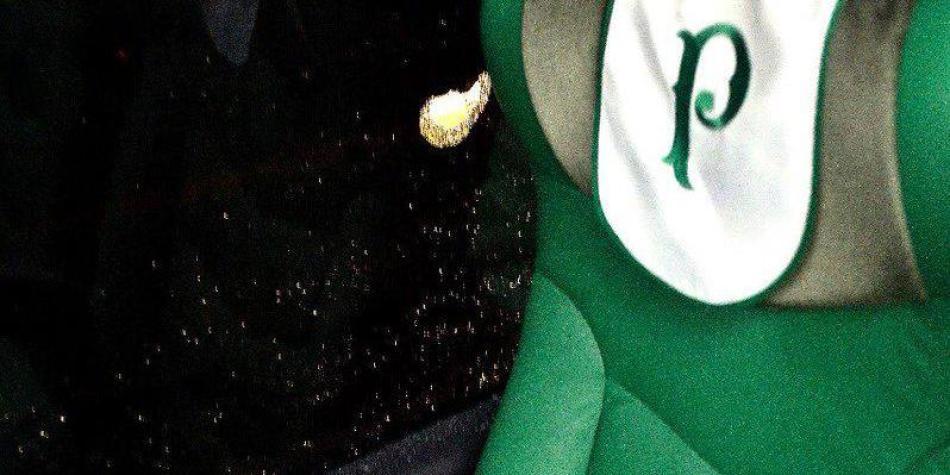 Palmeiras