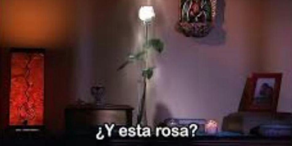 Memes Santa Fe