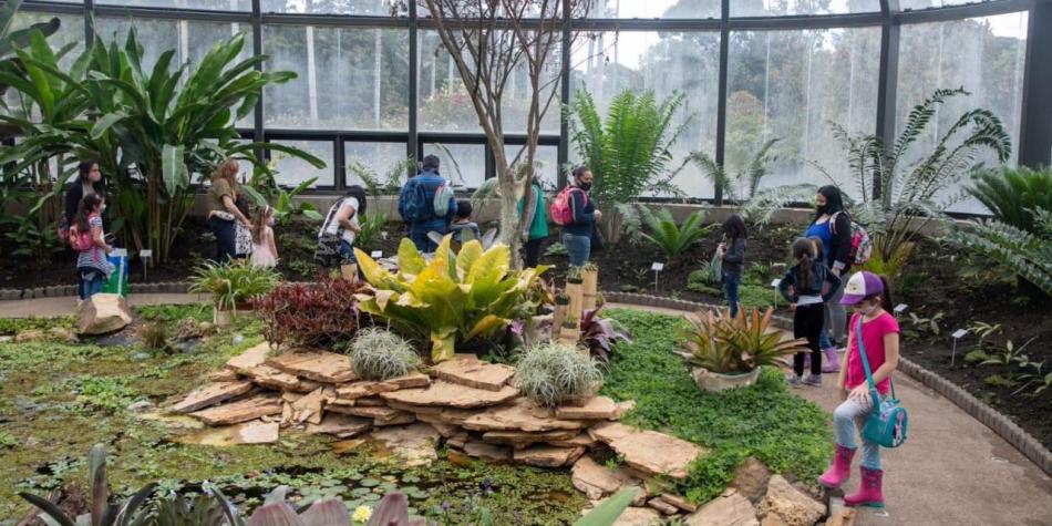 Jardín Botánico