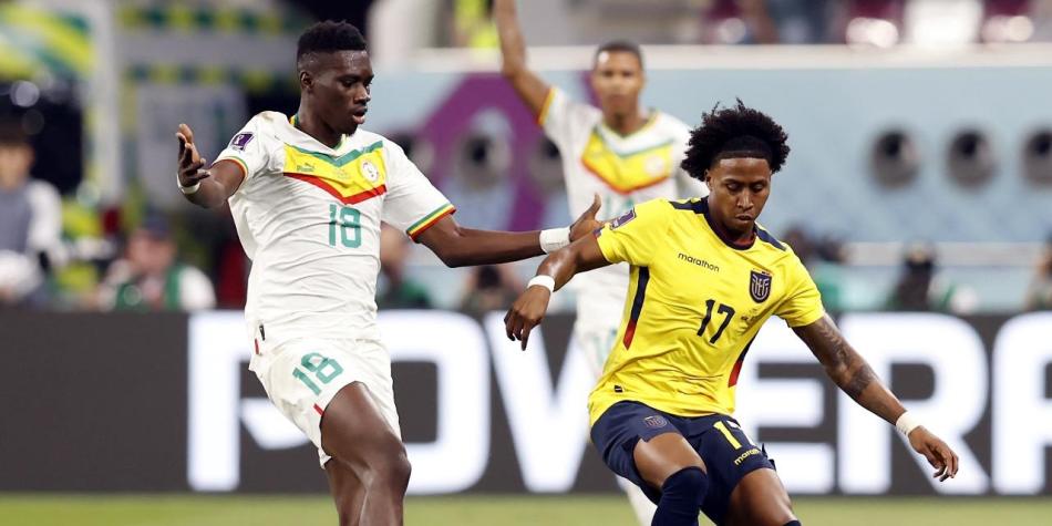 Ecuador vs Senegal