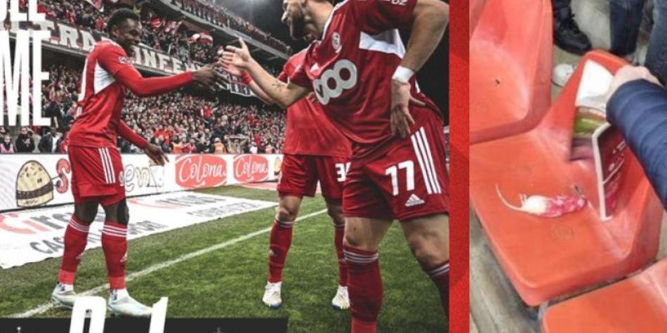 Standard Lieja vs Charleroi