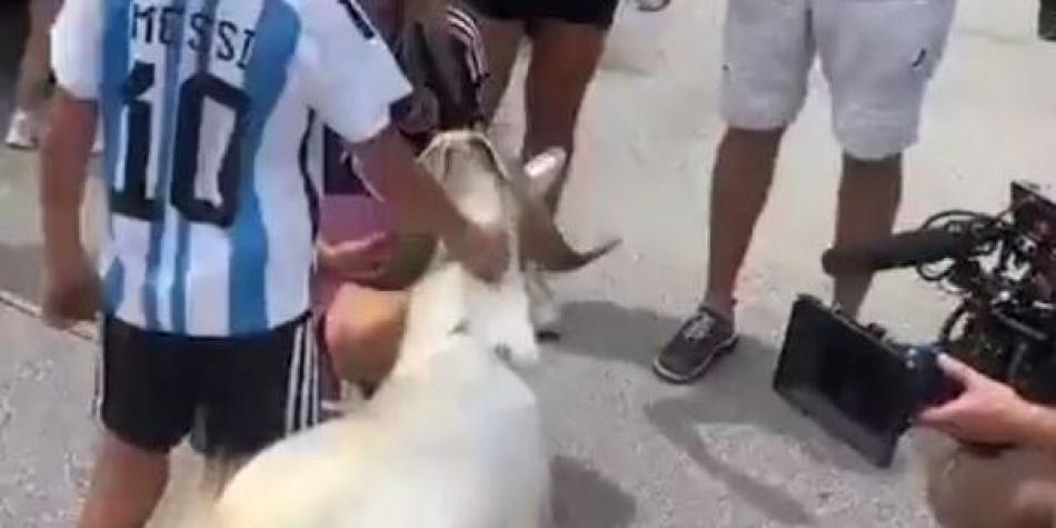 Cabra de Lionel Messi