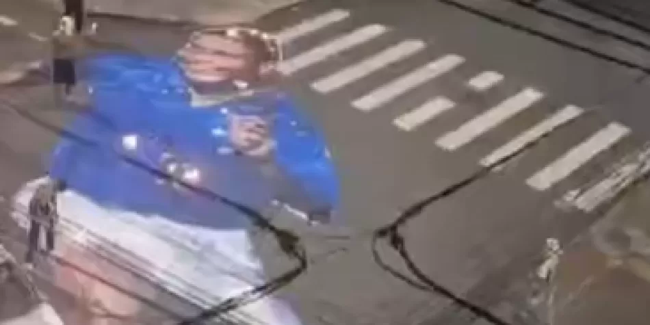Hinchas de Cruzeiro