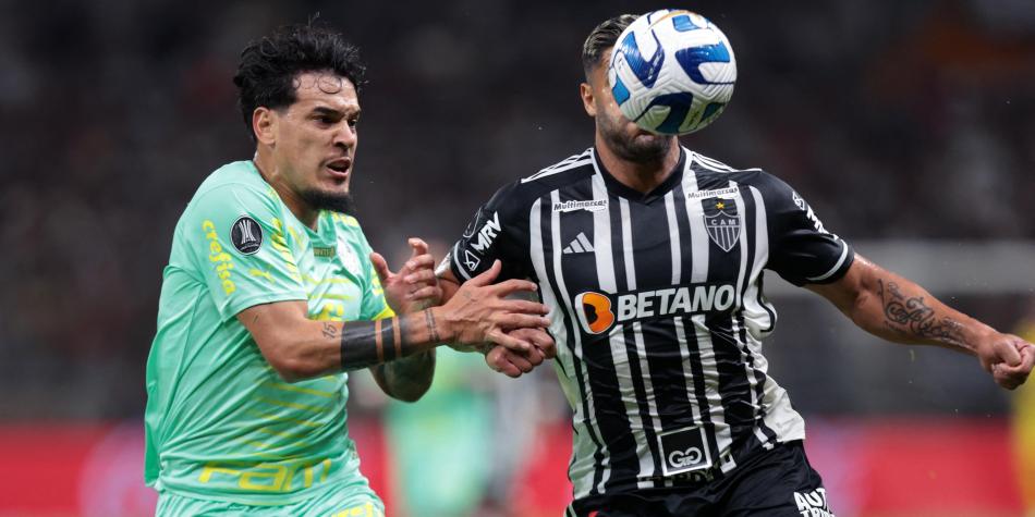 Palmeiras Mineiro