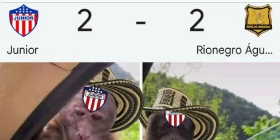 Memes Junior