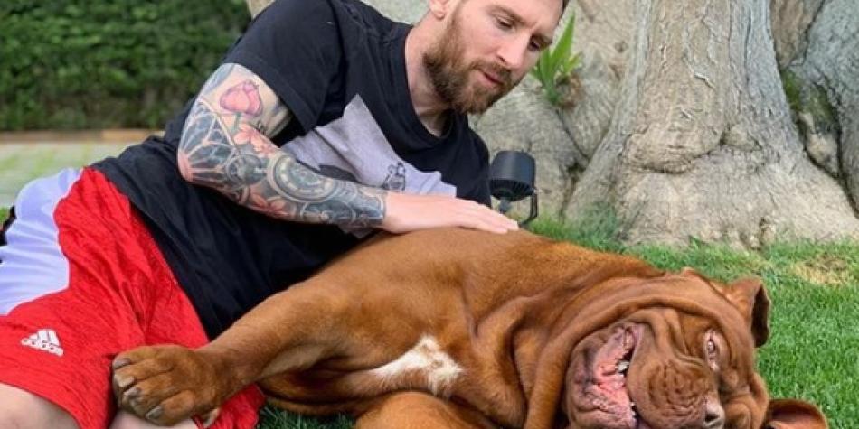 Messi y perro