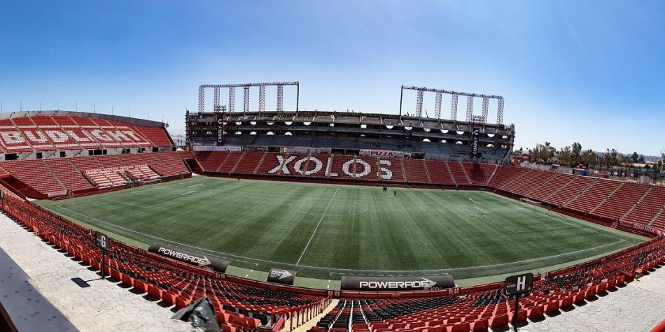 Xolos
