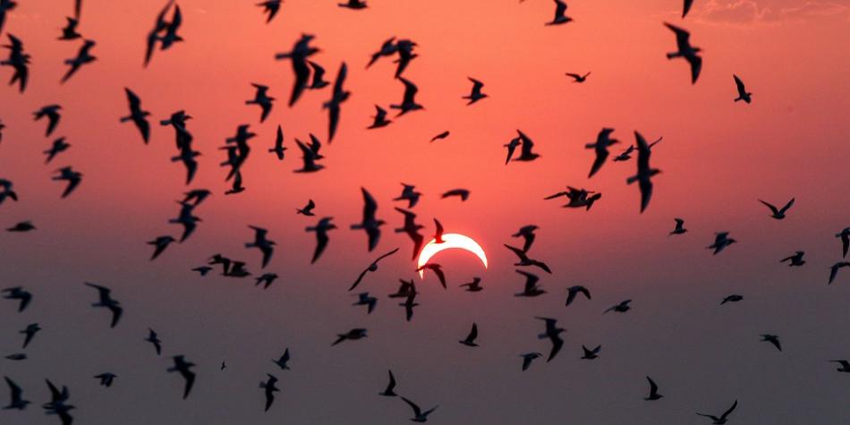 Eclipse