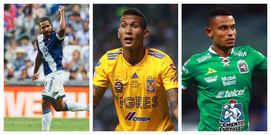 Angulo, Meza, Tesillo.