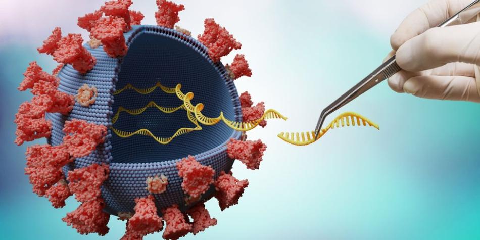 BBC Mundo: coronavirus