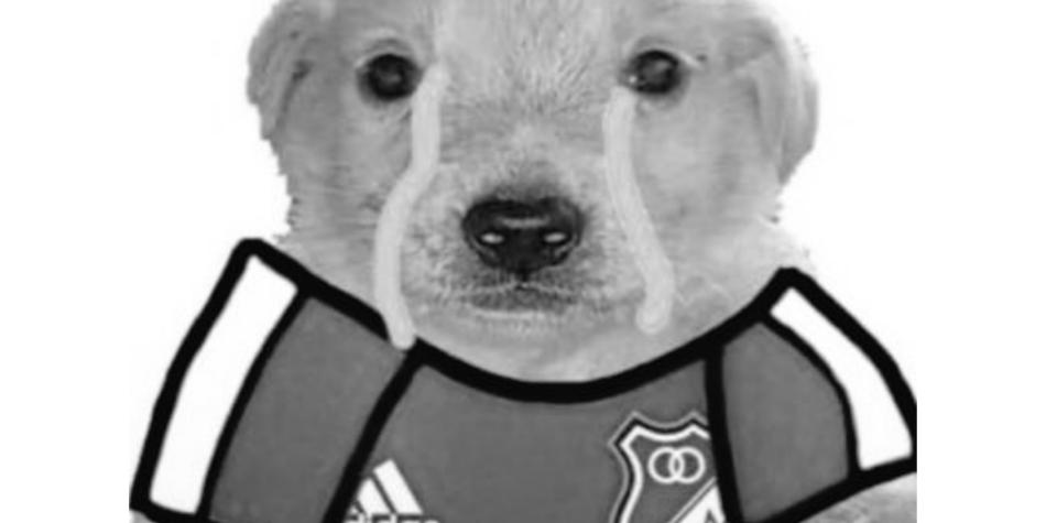 Meme Millonarios