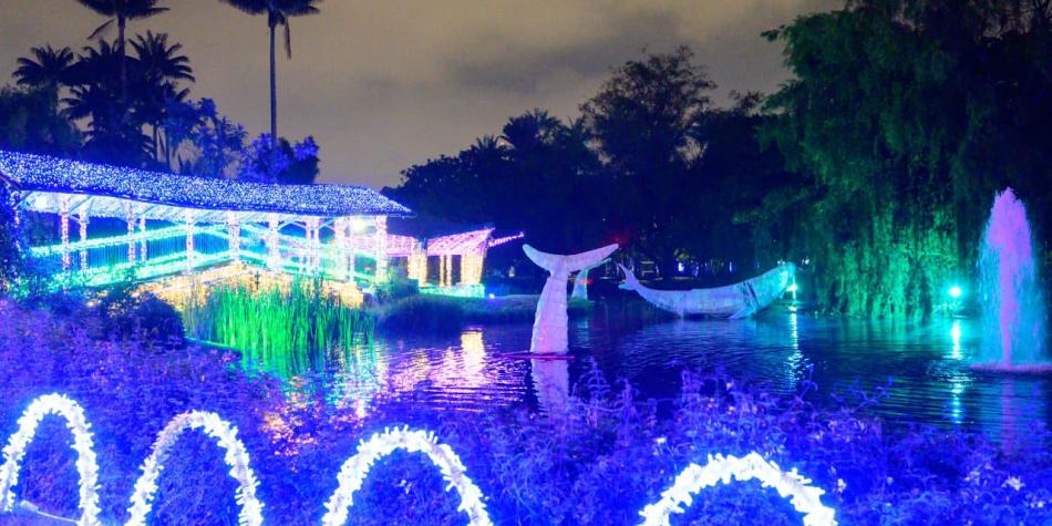 Jardín Botánico