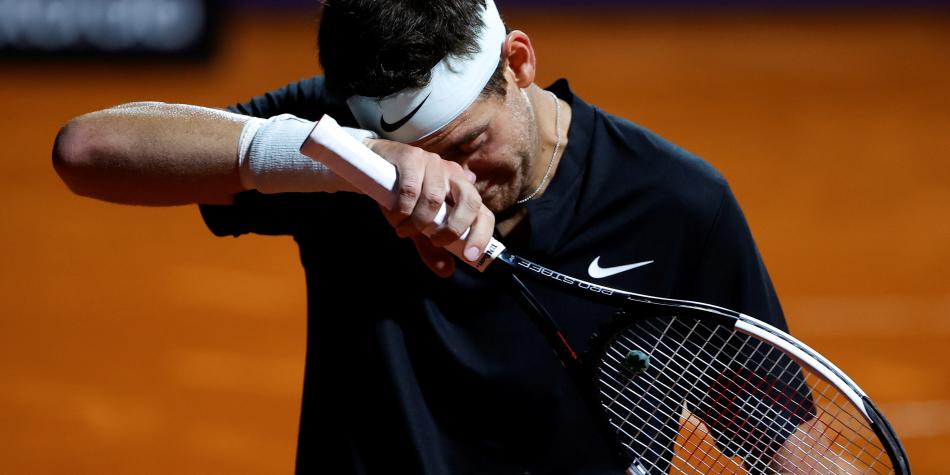 Juan Martín del Potro