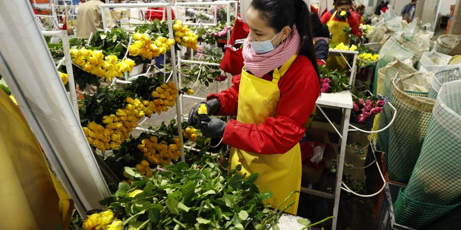 Flores