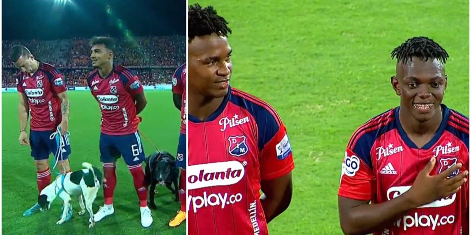 DIM con perros en actos de protocolo