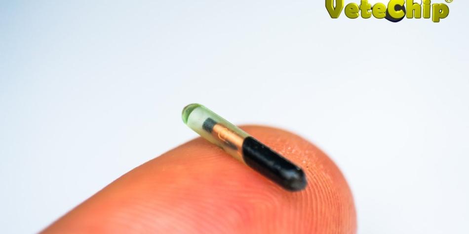 Vetechip