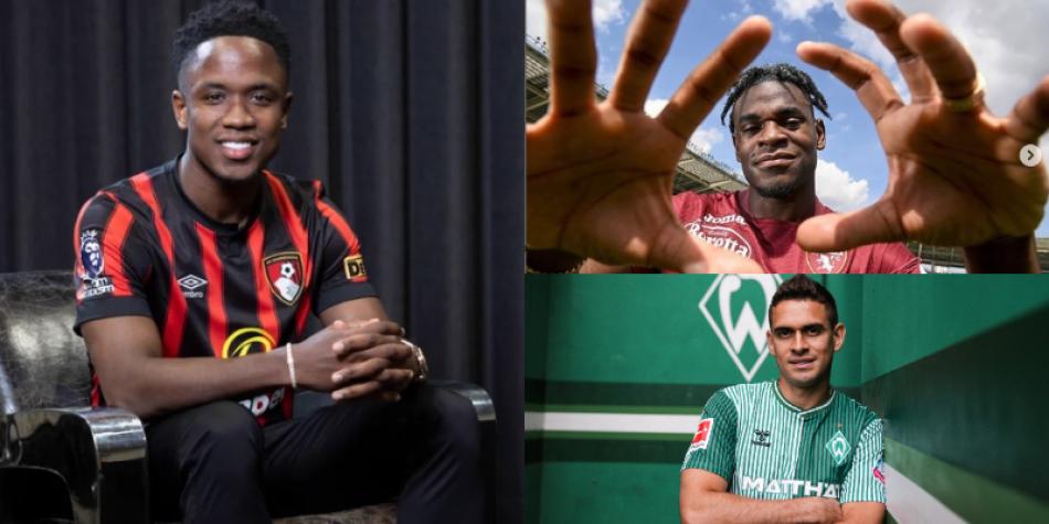 Zapata, Borré, Sinisterra