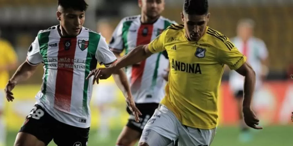 Palestino vs Millonarios