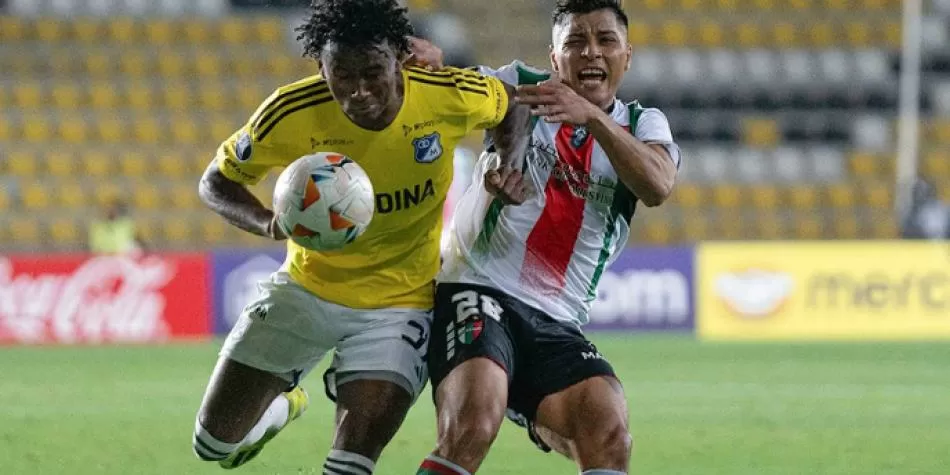 Palestino vs Millonarios