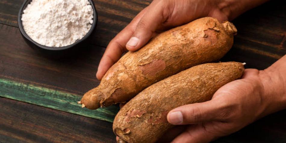 Yuca